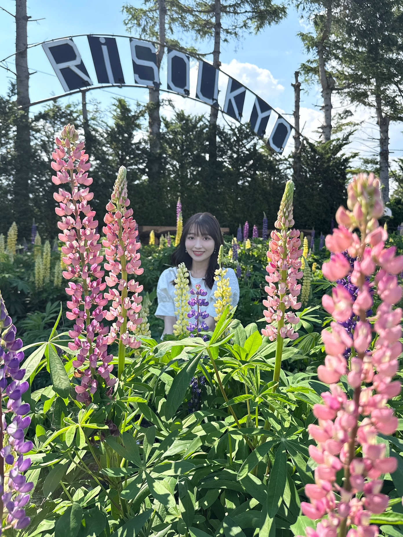 お花　３