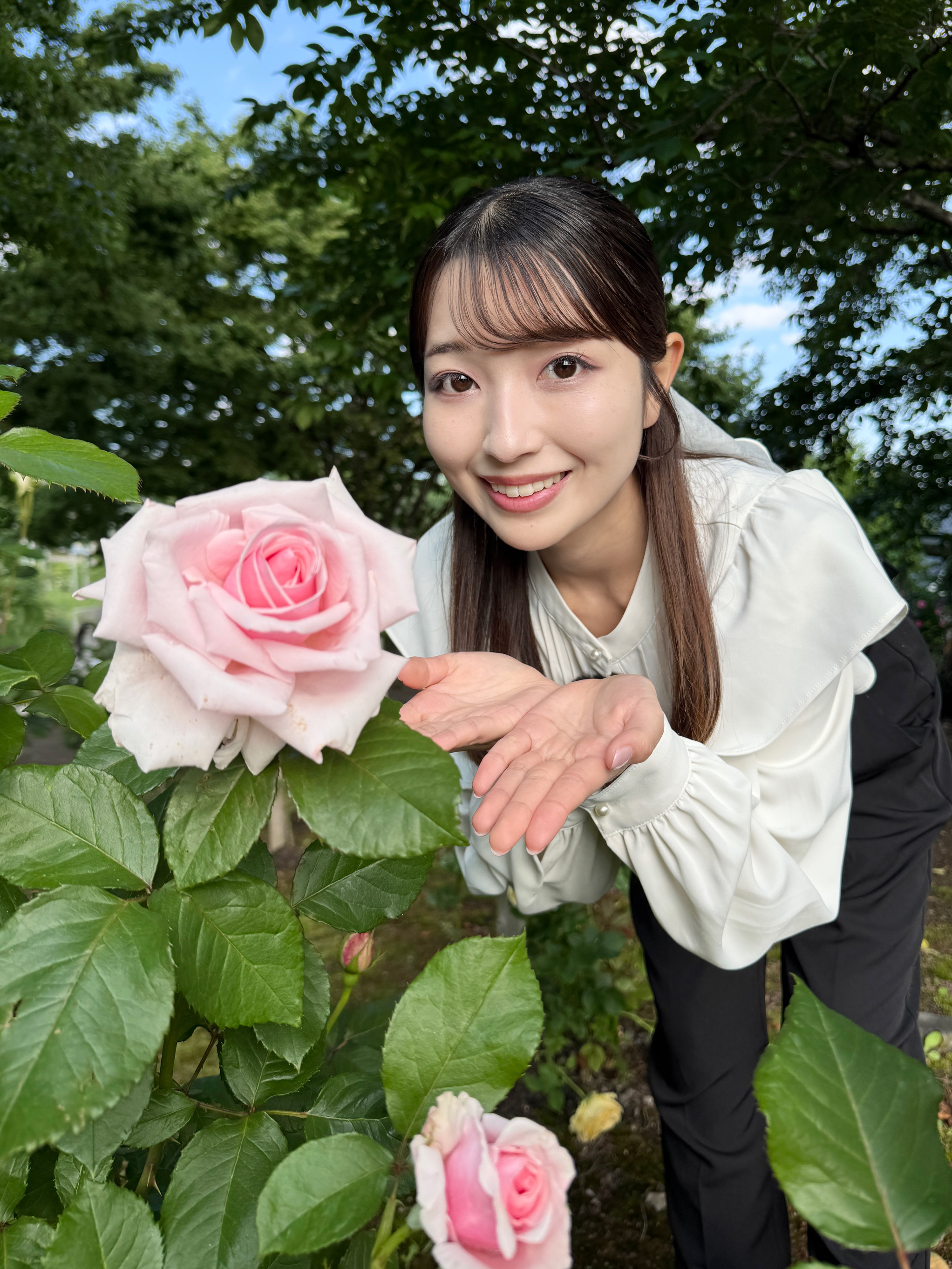お花　1