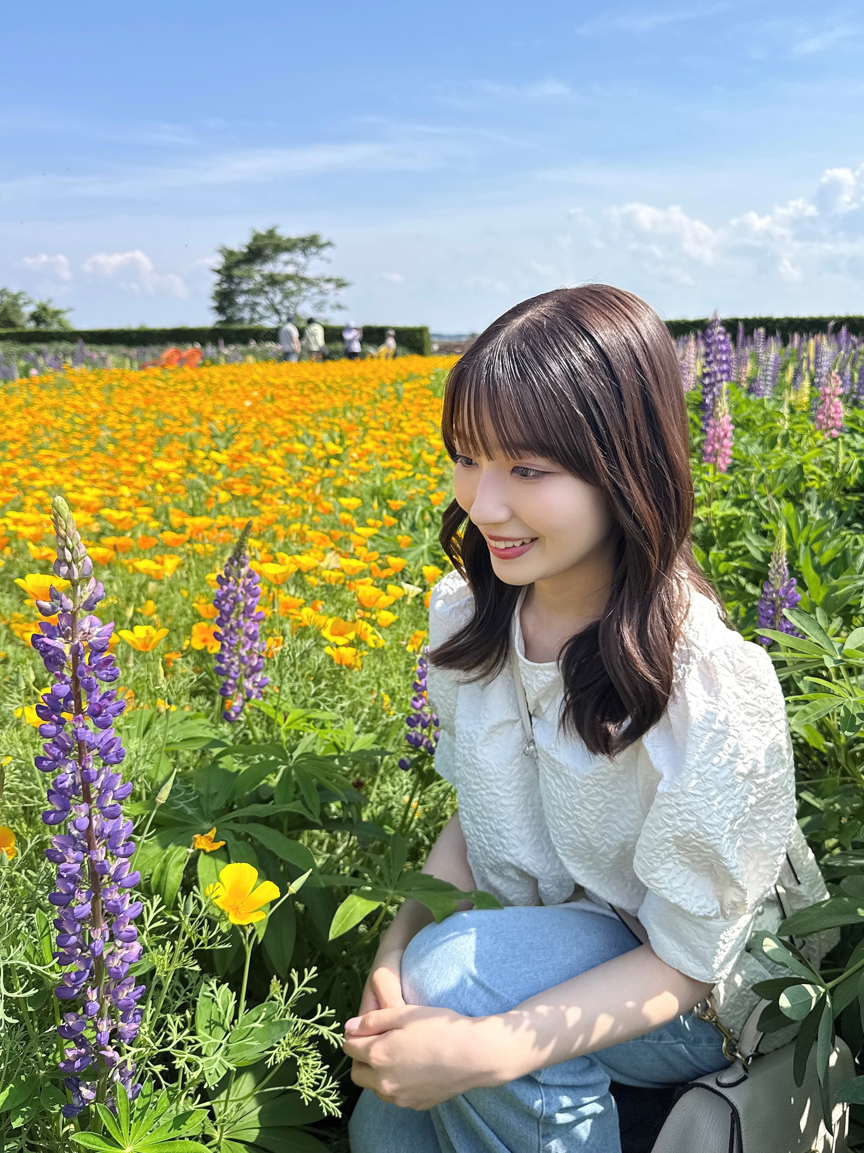 お花２