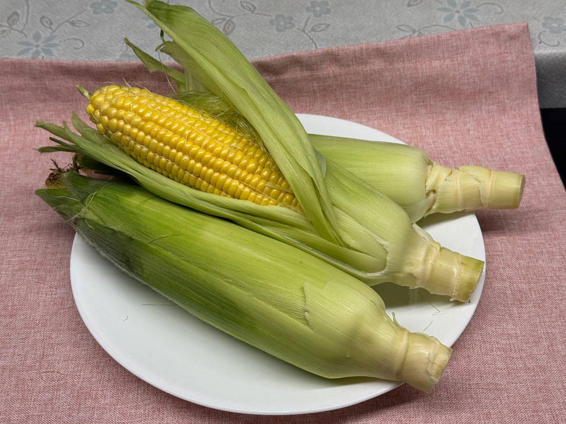 20250831cornSATONOKIMI